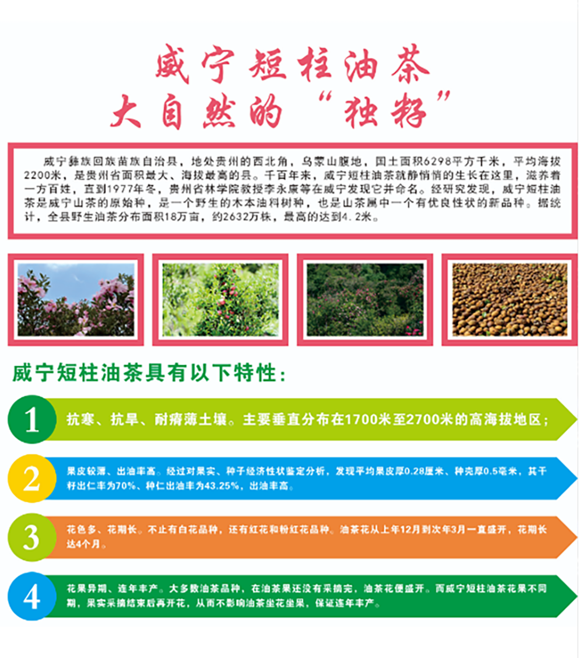 微信图片_20240729140144.png